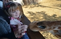 Kids_DZooWBrits (105)